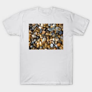 Shingle T-Shirt